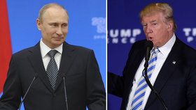 Vladimir Putin má zájem o schůzku s Donaldem Trumpem.