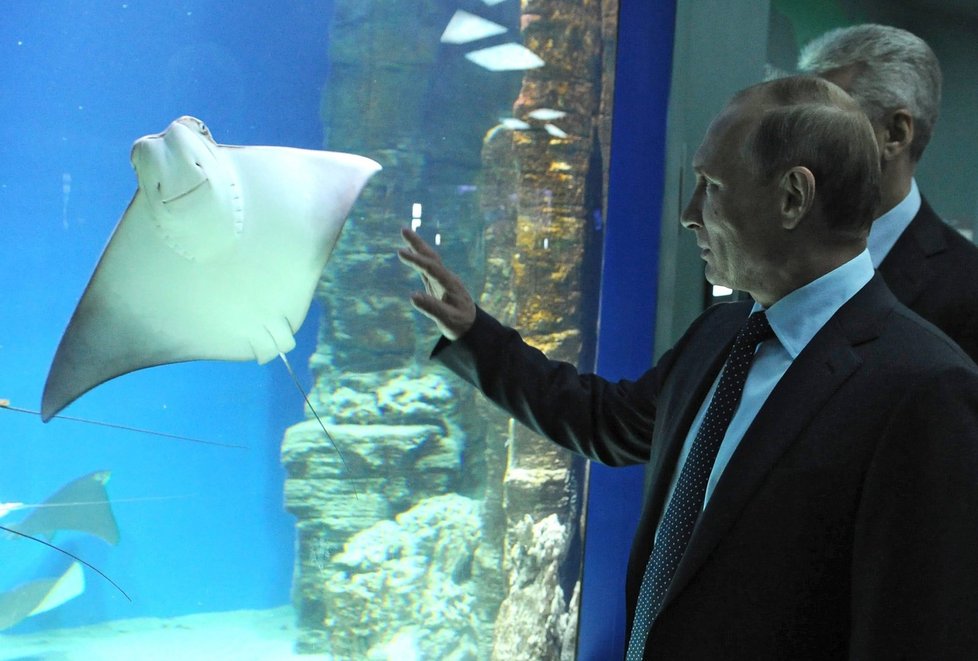 Putin má zvířata rád.
