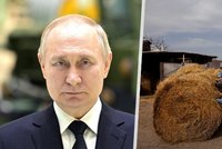 Putin rozhodne o světovém hladomoru: Afrika bude bez jídla, když neobnoví dohodu o exportu obilí