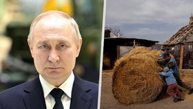 Putin rozhodne o světovém hladomoru! Pokud nepodepíše dohodu o ukrajinském exportu, Afrika se ocitne bez jídla