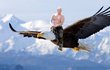 Putin si podle vtipálků umí zařídit i letecký transport.