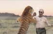 Zbabělci před tygry utíkají, Putin s nimi tančí.