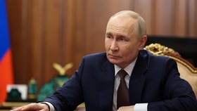 Vladimír Putin na setkání v Kremlu
