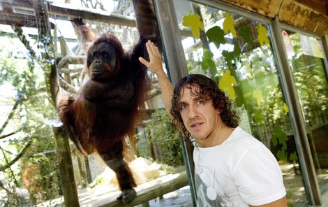 Puyolovi se nejvíce líbili orangutani.