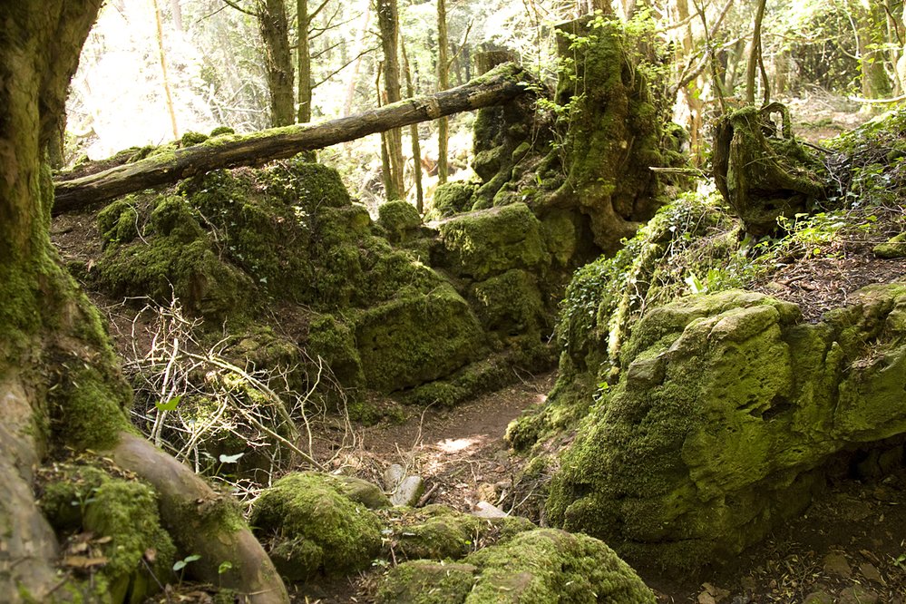 Uvnitř Puzzlewood