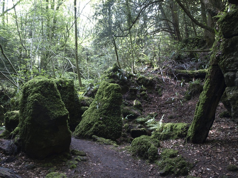 Uvnitř Puzzlewood