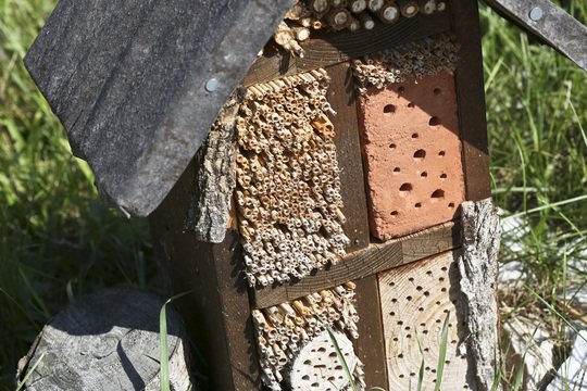 Pražské vodovody a kanalizace ve svých areálech pěstují rozkvetlé trávníky a instalují ptačí budky i včelí úly