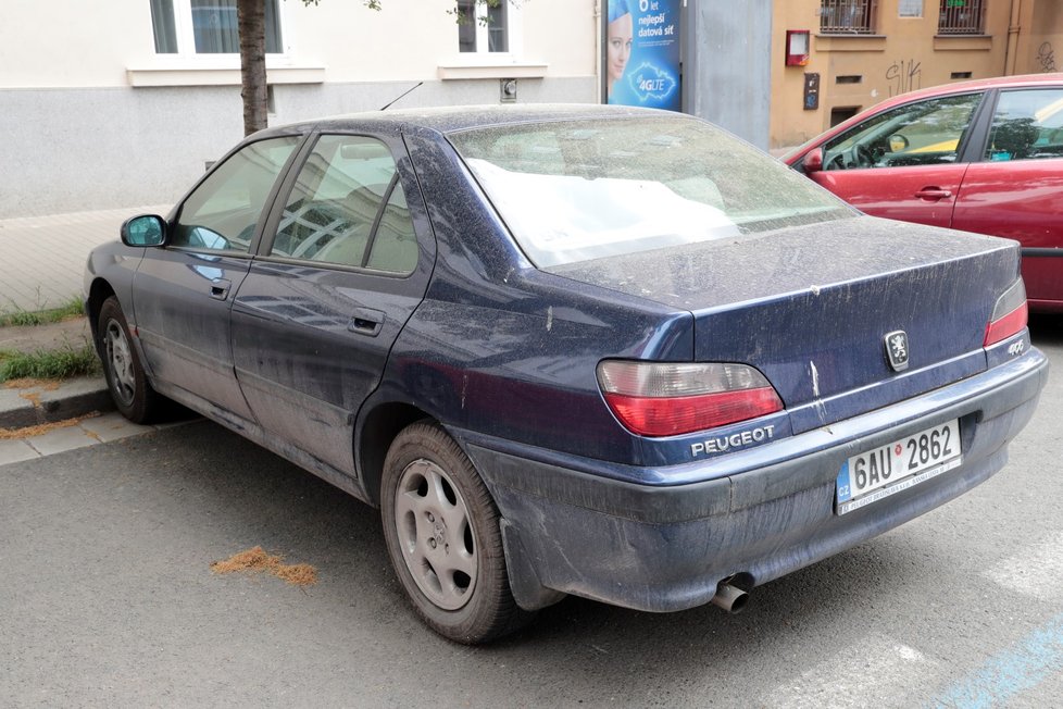 Velké množství pylu potrápilo i majitele automobilů.