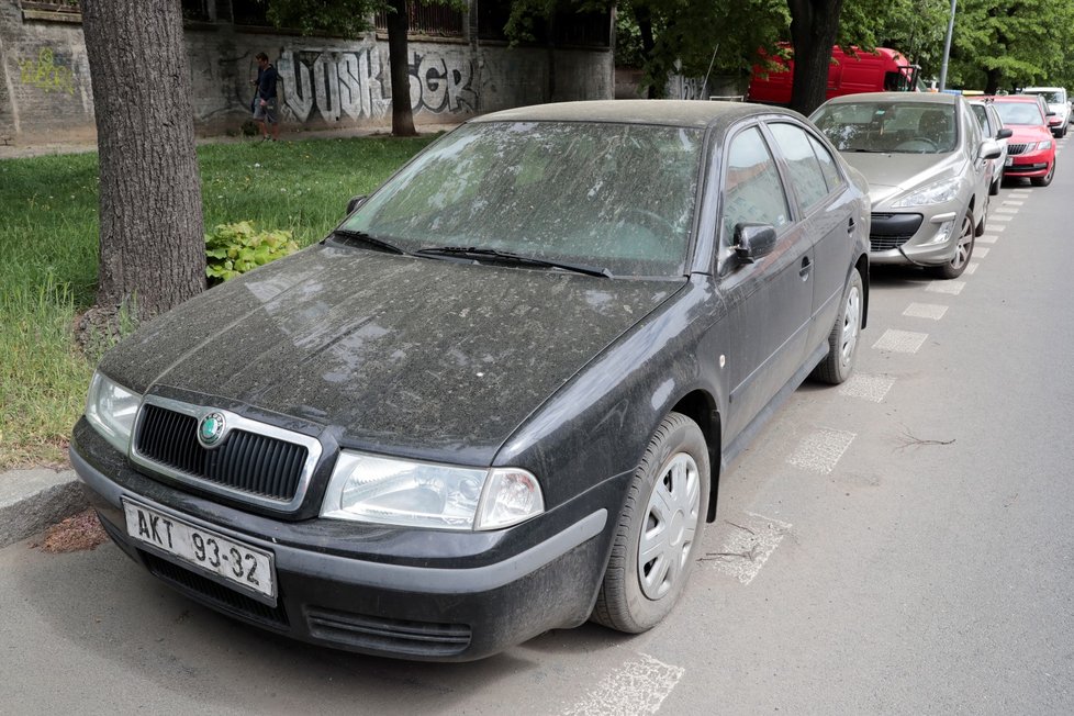 Velké množství pylu dokáže potrápit i majitele automobilů.