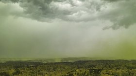 Americké město Durham zachvátil oblak pylu. Fotografie nejsou nijak upravené, skutečně je zde všechno žluté