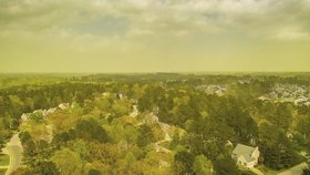 Americké město Durham zachvátil oblak pylu. Fotografie nejsou nijak upravené, skutečně je zde všechno žluté