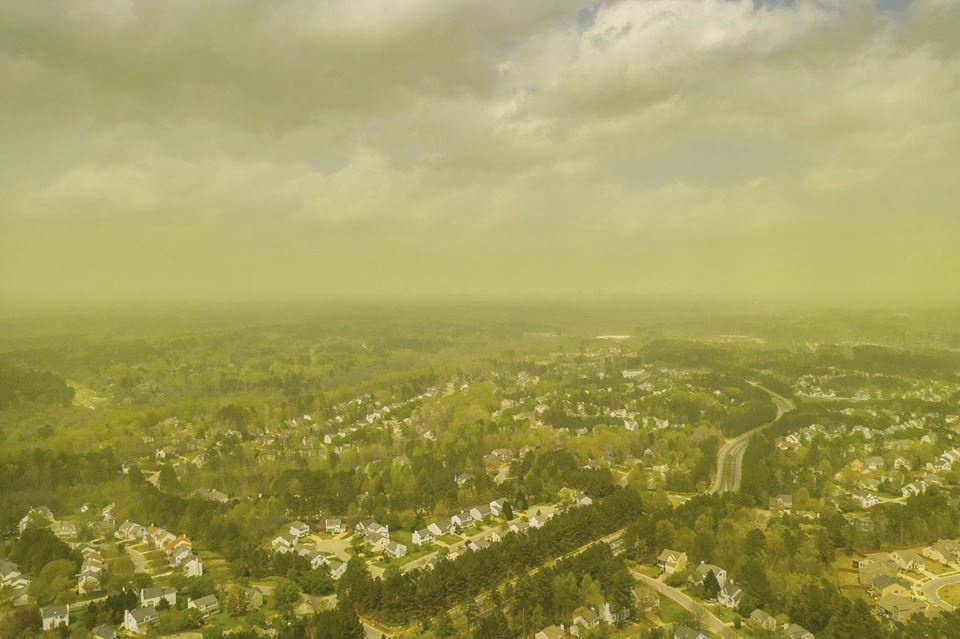 Americké město Durham zachvátil oblak pylu. Fotografie nejsou nijak upravené, skutečně je zde všechno žluté