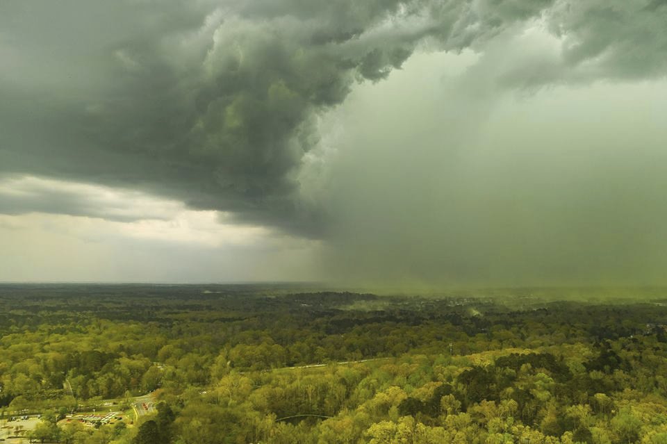 Americké město Durham zachvátil oblak pylu. Fotografie nejsou nijak upravené, skutečně je zde všechno žluté