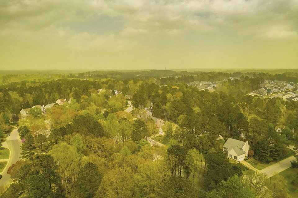 Americké město Durham zachvátil oblak pylu. Fotografie nejsou nijak upravené, skutečně je zde všechno žluté