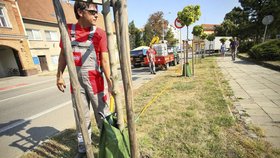 V Břeclavi mají novou zbraň v boji proti suchu: Speciální vaky udrží vodu až 10 hodin