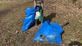 Pytlomaty v Plzni fungují: Lidé sbírají binec o sto šest, stojany půjčili i Vejprnicím