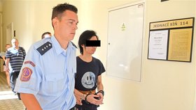 Vietnamec Quang Huy Tran u soudu kvůli brutálnímu přepadení dívky v Praze na Chodově