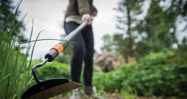 Zahrada v říjnu: Přípravy na zimu vrcholí