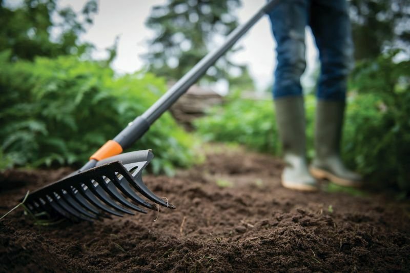 Zahrada v říjnu: Přípravy na zimu vrcholí