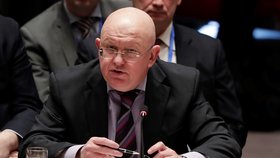 V Radě bezpečnosti OSN neprošel návrh americké rezoluce pro vyšetření nedávného útoku chemickými zbraněmi v syrském městě Dúmá, návrh vetovalo Rusko