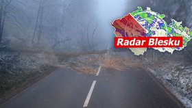 České silnice jsou pokryté sněhem, platí výstraha pro řidiče, sledujte radar Blesku.