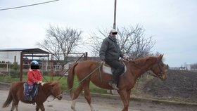 Pedofil Radek K. lákal malé děti na projížďku na koních, přitom mu šlo jen o sex s nimi.