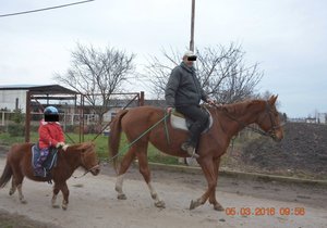 Pedofil Radek K. lákal malé děti na projížďku na koních, přitom mu šlo jen o sex s nimi.