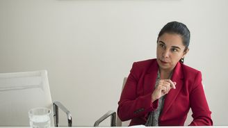 Ta firma mi také patří, říká o Deloitte Diana Rádl Rogerová