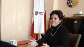 Radmila Kleslová končí jako místopředsedkyně hnutí ANO