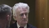 Válečnému zločinci Karadžićovi zpřísnili trest. Za genocidu v Bosně dostal doživotí