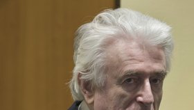 Vůdce bosenských Srbů Radovan Karadžić u soudu OSN v Haagu. Za genocidu dostal doživotí za mřížemi (20.3 2019)