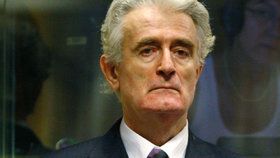 Karadžić se odvolal proti 40letému vězení: Proces v Haagu je dle něj vykonstruovaný.