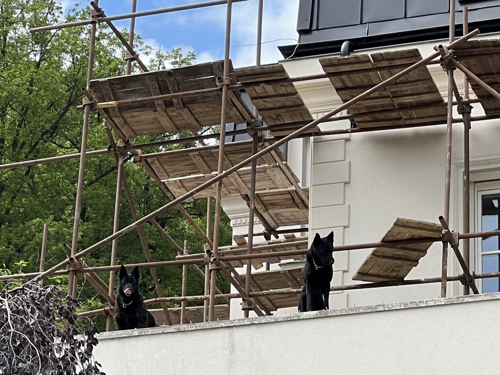 Dělníci vrací někdejší Krejčířově vile její původní okázalou podobu. Vila už má novou střechu, která v roce 2019 byla zdevastovaná požárem. (30. květen 2022)