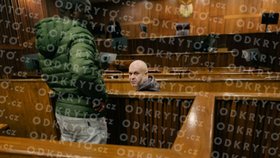 Radovan Krejčíř u soudu v Johannesburgu (15.5.2026)