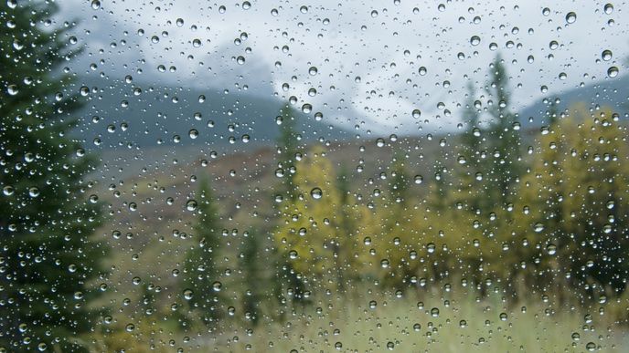 raindrops on a car window; alberta canada