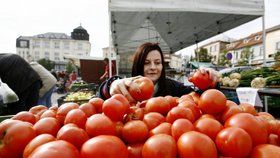 Rajčatům v supermarketech se možná vrátí jejich chuť.