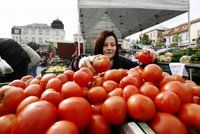Rajčata už zase budou chutnat jako rajčata. Vědci zjistili, jak na to