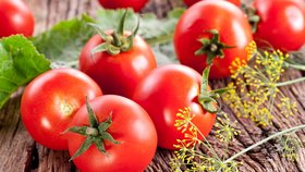 Sezóna rajčat v plném proudu: Uchovejte je v nejlepší kvalitě