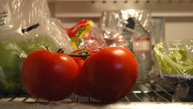 Patří rajčata do lednice? Vědci našli odpověď a zelináři přidali několik rad