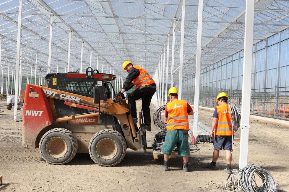 Výstavba skleníku trvala 15 měsíců, první rajčata do něj farmáři zasadí 2. listopadu.