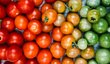 Etylen může pomoci dozrávání zelených rajčat