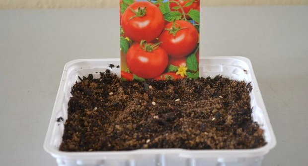 Jak se to dělá: Výsev rajčat v dubnu