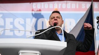 Vladimír Mertlík: Lůza z ulice vyhlásila konkurz na vůdce, zatím se hlásí jen kašpaři 