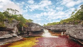 Kolumbijská řeka Cano Cristales je právem nazývána nejkrásnější řekou světa. Známá je také jako "řeka pěti barev" - nechybí žlutá, modrá, zelená, červená a černá. 