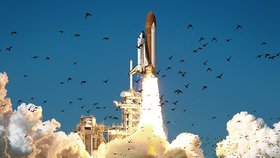Poslední mise nešťastného raketoplánu Challenger (leden 1986).