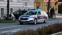 Rakouská policie Rakouská policie