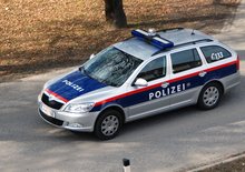 Půjčujete někomu auto na cestu do Rakouska? Od příštího roku o něj můžete přijít