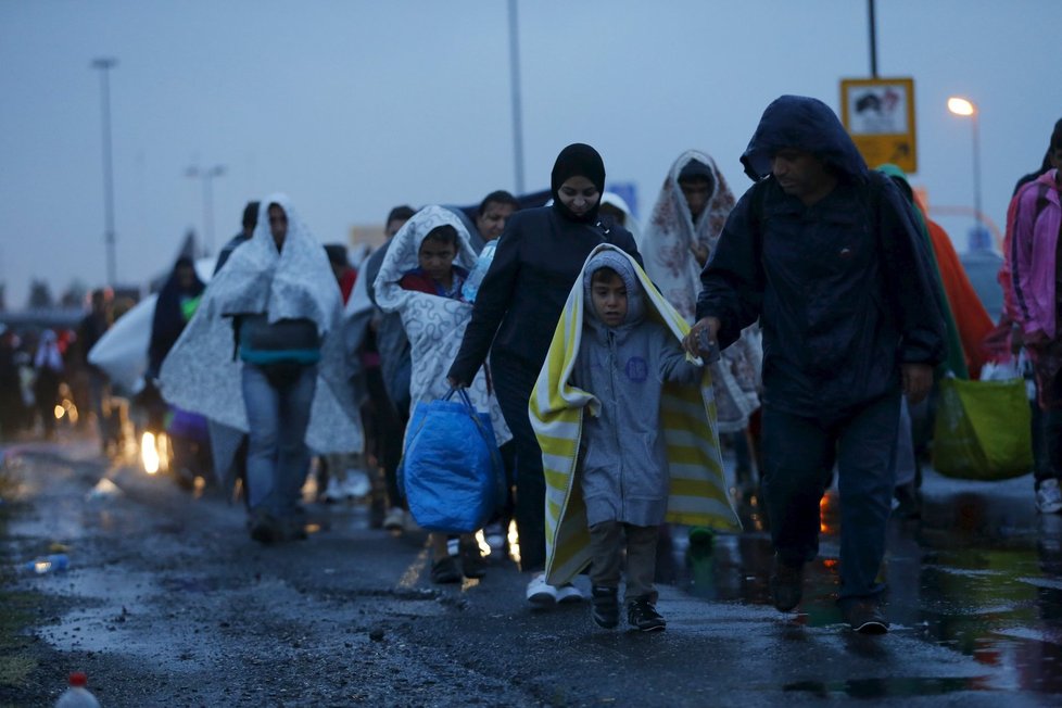 Do Rakouska za poslední dva roky přišly desetitisíce uprchlíků.