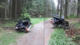 Nehoda kočáru u rakouských hranic si vyžádala dva těžce zraněné.