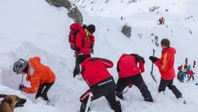 Rakouská horská služba vyprošťuje osoby zpod laviny na Dachsteinu (ilustrační foto).